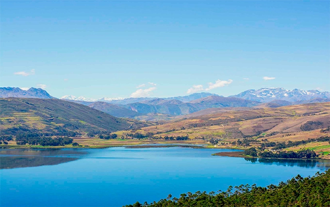 Galería del restaurante