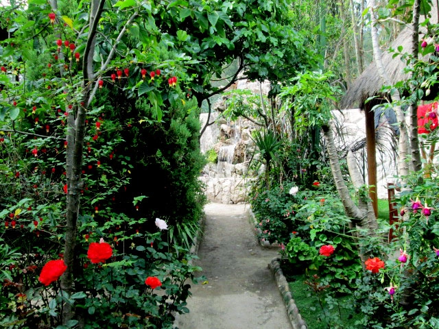 Galería del restaurante